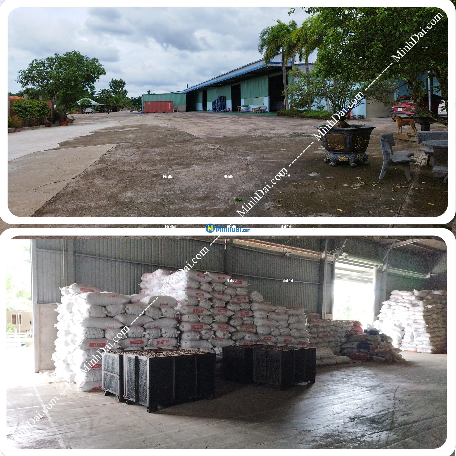 W180 White Whole Cashews - Buy wholesale cashew nuts from Vietnam