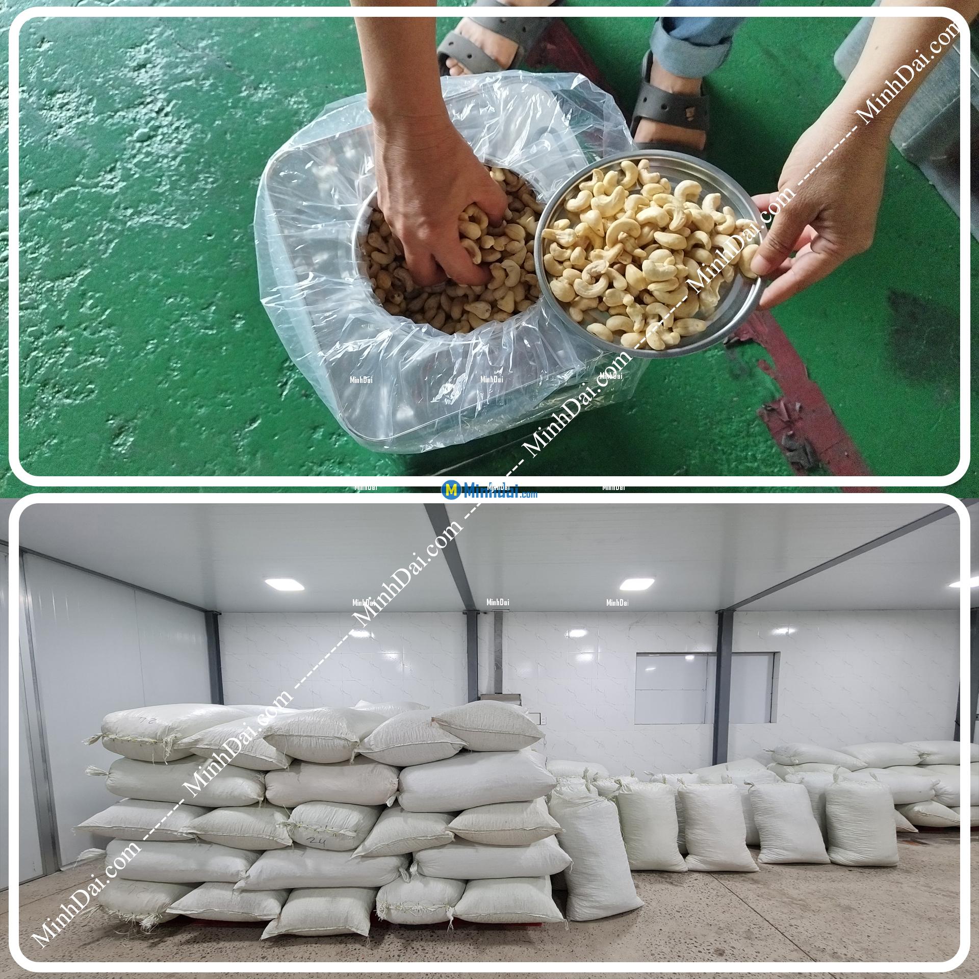 W180 White Whole Cashews - Buy wholesale cashew nuts from Vietnam