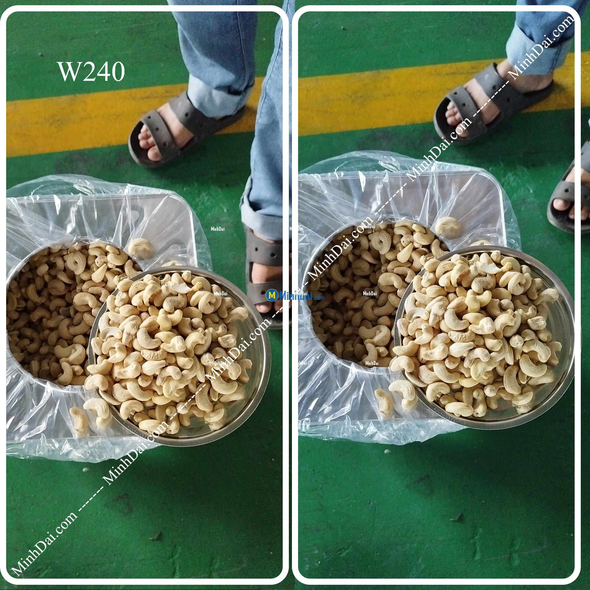 W180 White Whole Cashews - Buy wholesale cashew nuts from Vietnam