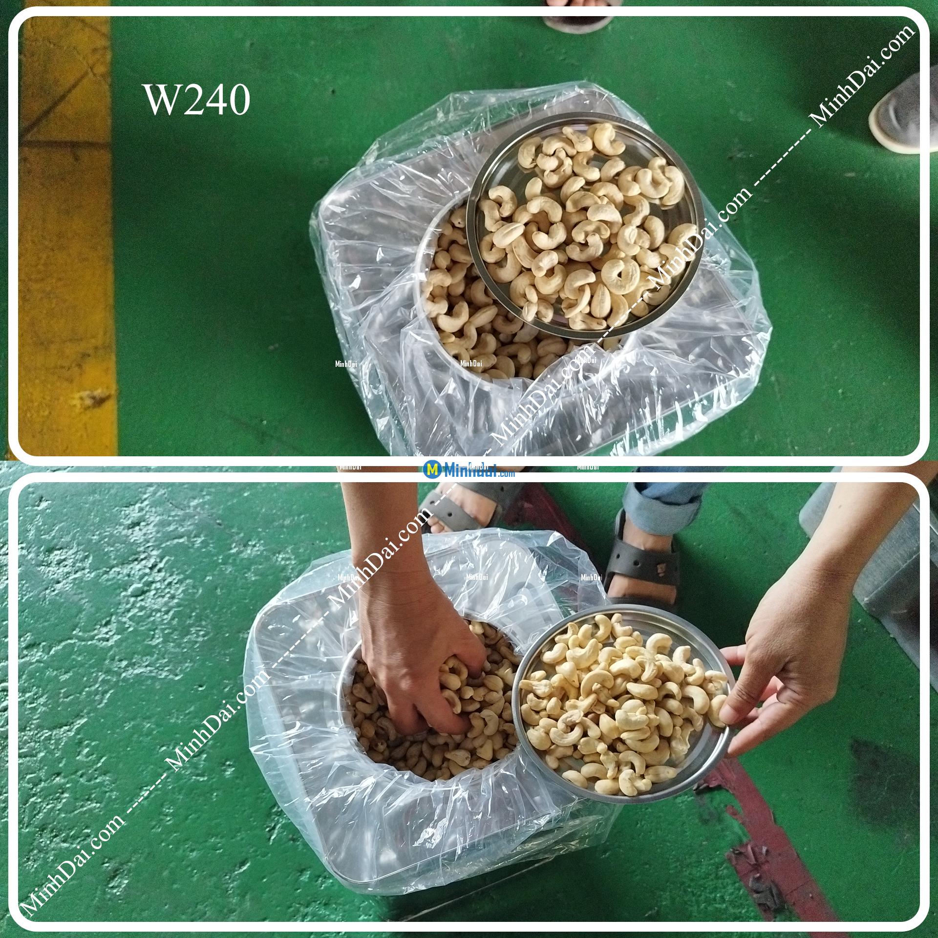 W180 White Whole Cashews - Buy wholesale cashew nuts from Vietnam