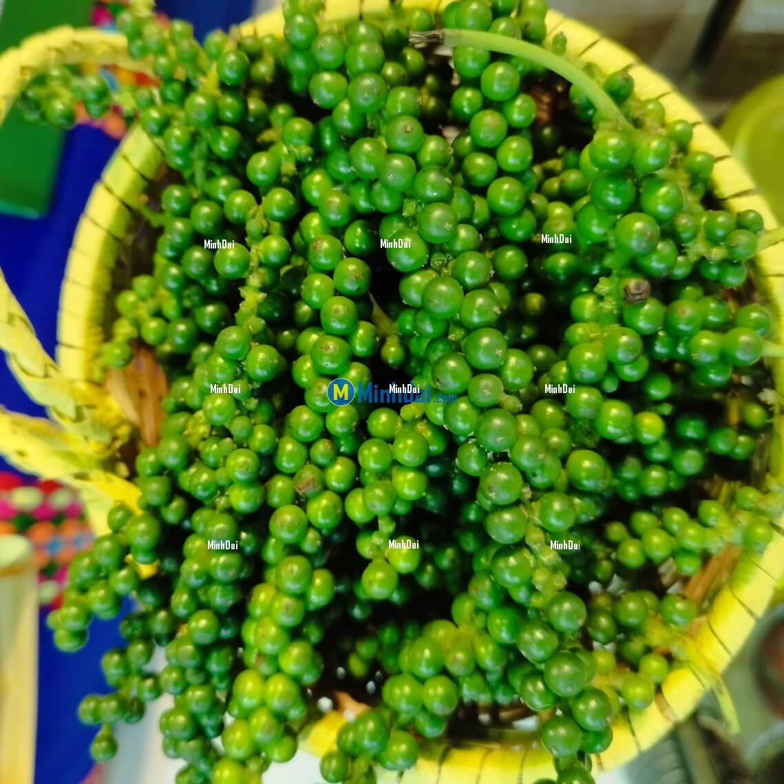 Black pepper (FAQ standard)
