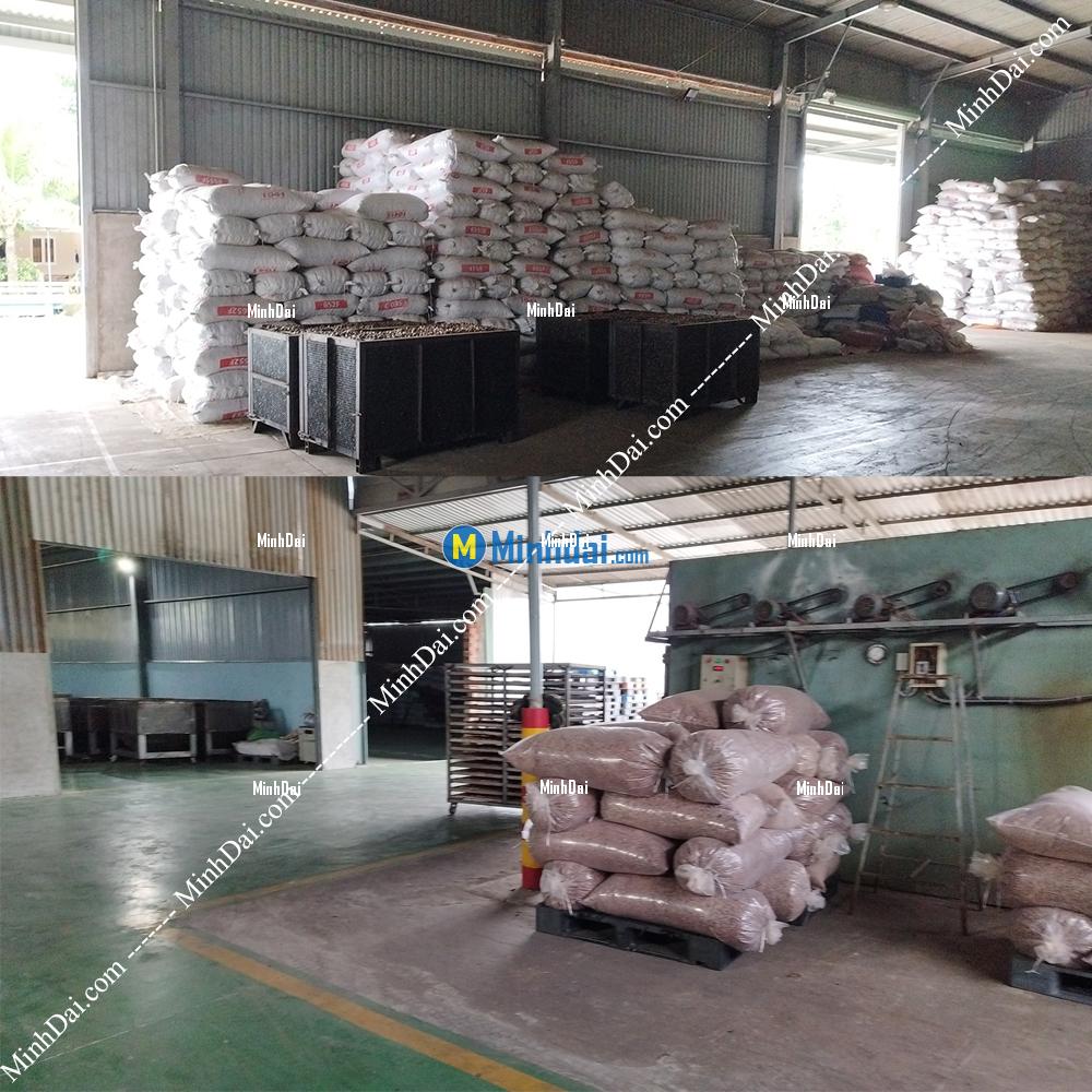 W180 White Whole Cashews - Buy wholesale cashew nuts from Vietnam