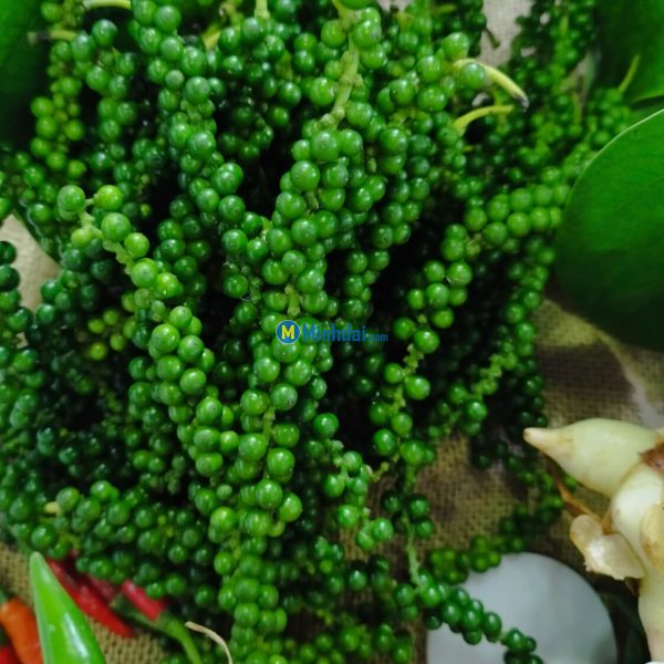 Black pepper (FAQ standard)