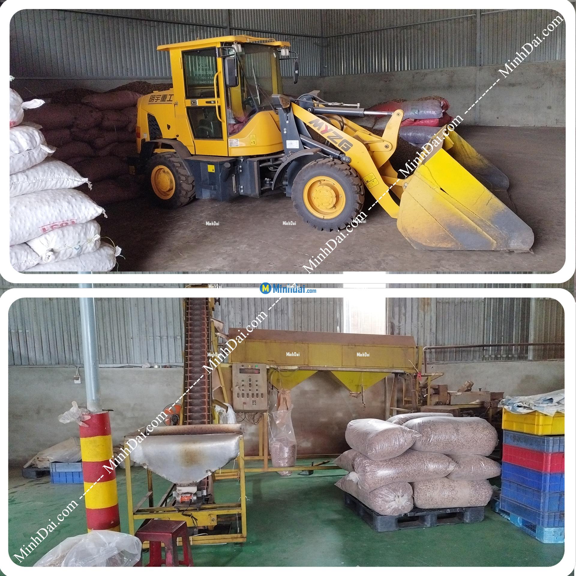 W180 White Whole Cashews - Buy wholesale cashew nuts from Vietnam