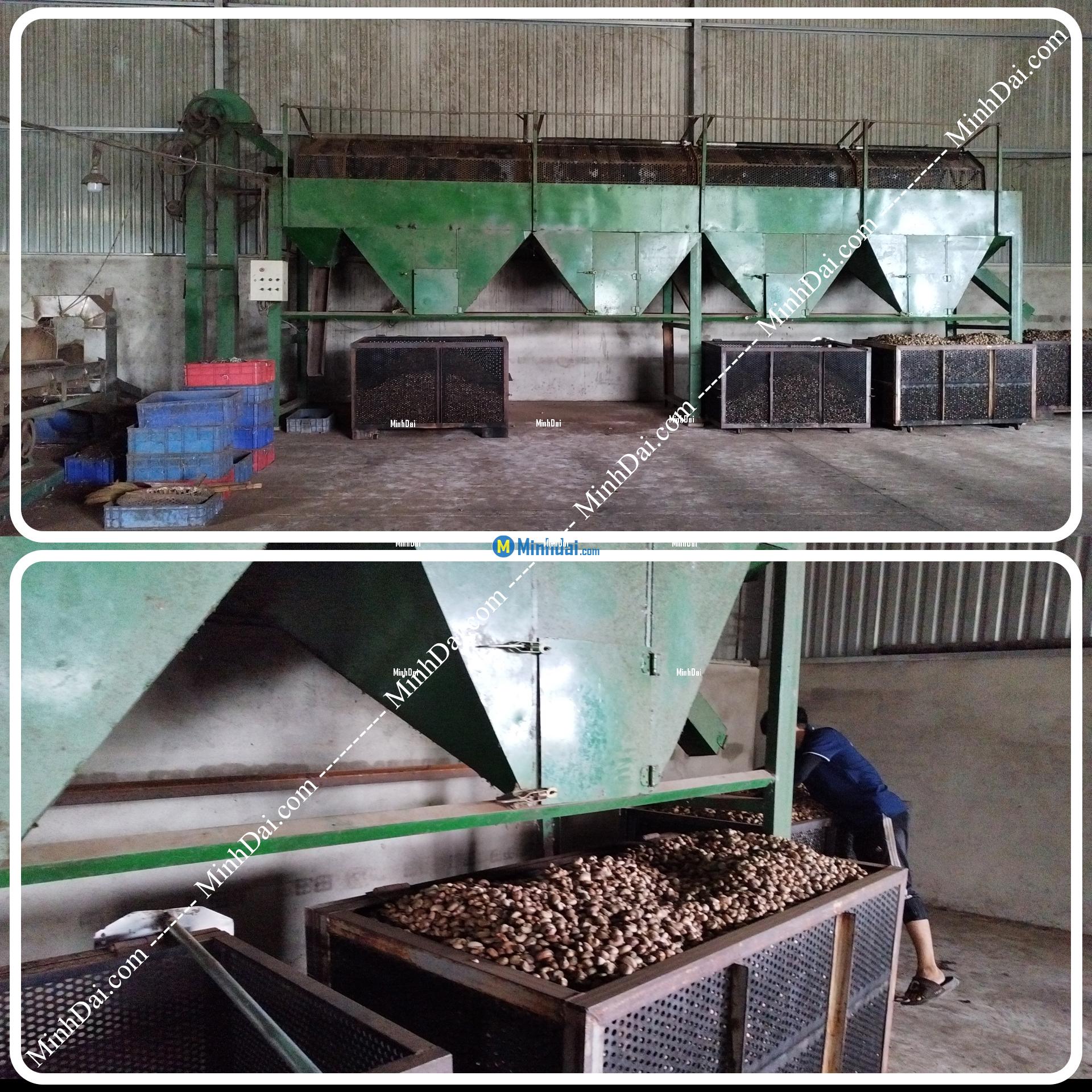 W180 White Whole Cashews - Buy wholesale cashew nuts from Vietnam