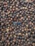 Black pepper (FAQ standard)