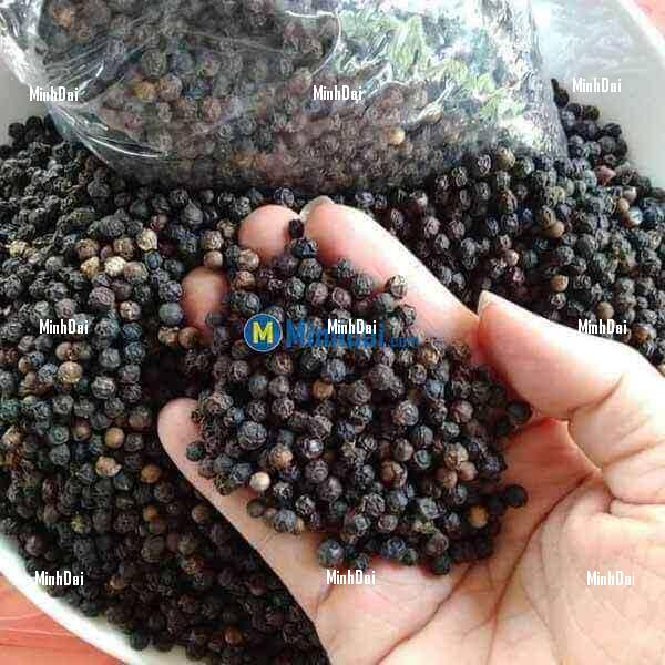 Pepper - Spice in cuisine and medicine in medicine Pepper - Spice in cuisine and medicine in medicine