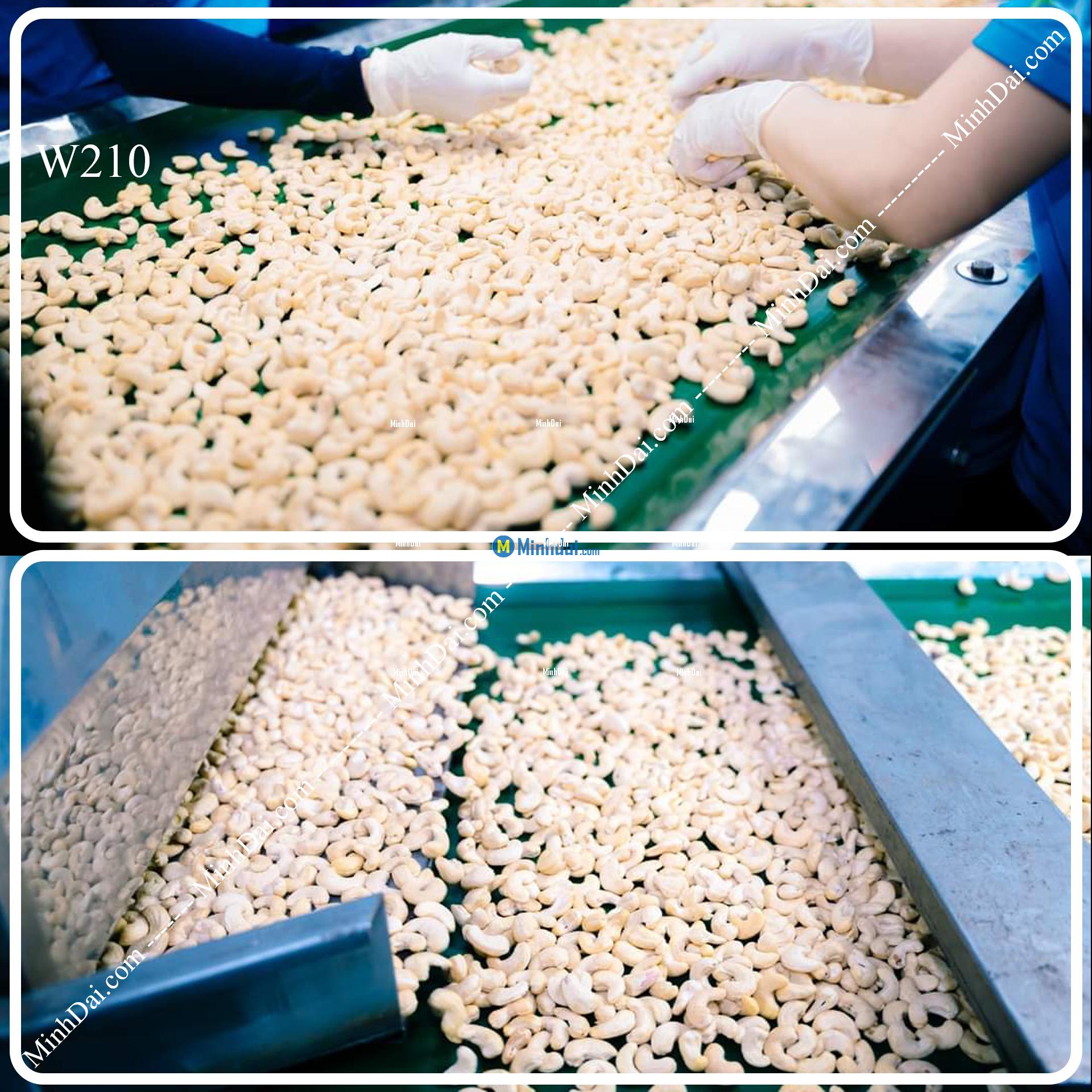 W210 Cashew Nuts Vietnam - White Whole Cashews