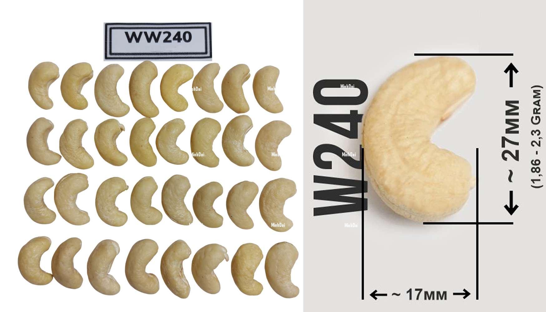 W240 - Whole white cashews from Vietnam W240 - Whole white cashews from Vietnam