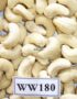 W180 White Whole Cashews - Buy wholesale cashew nuts from Vietnam
