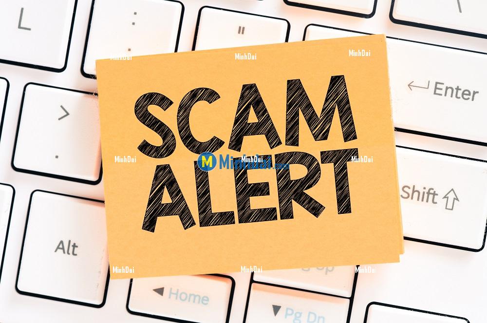 How to limit fraud and verify import-export businesses