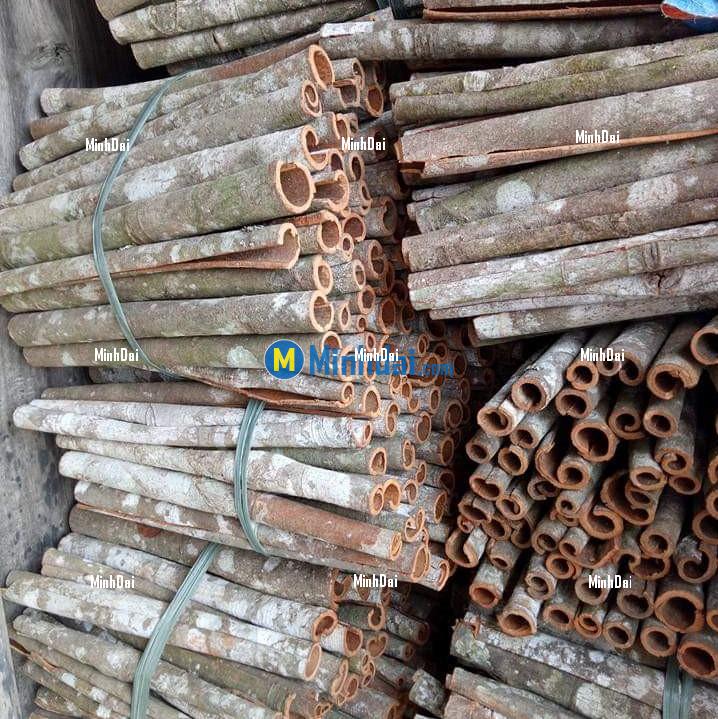 Cinnamon pipes wholesale Cinnamon pipes wholesale