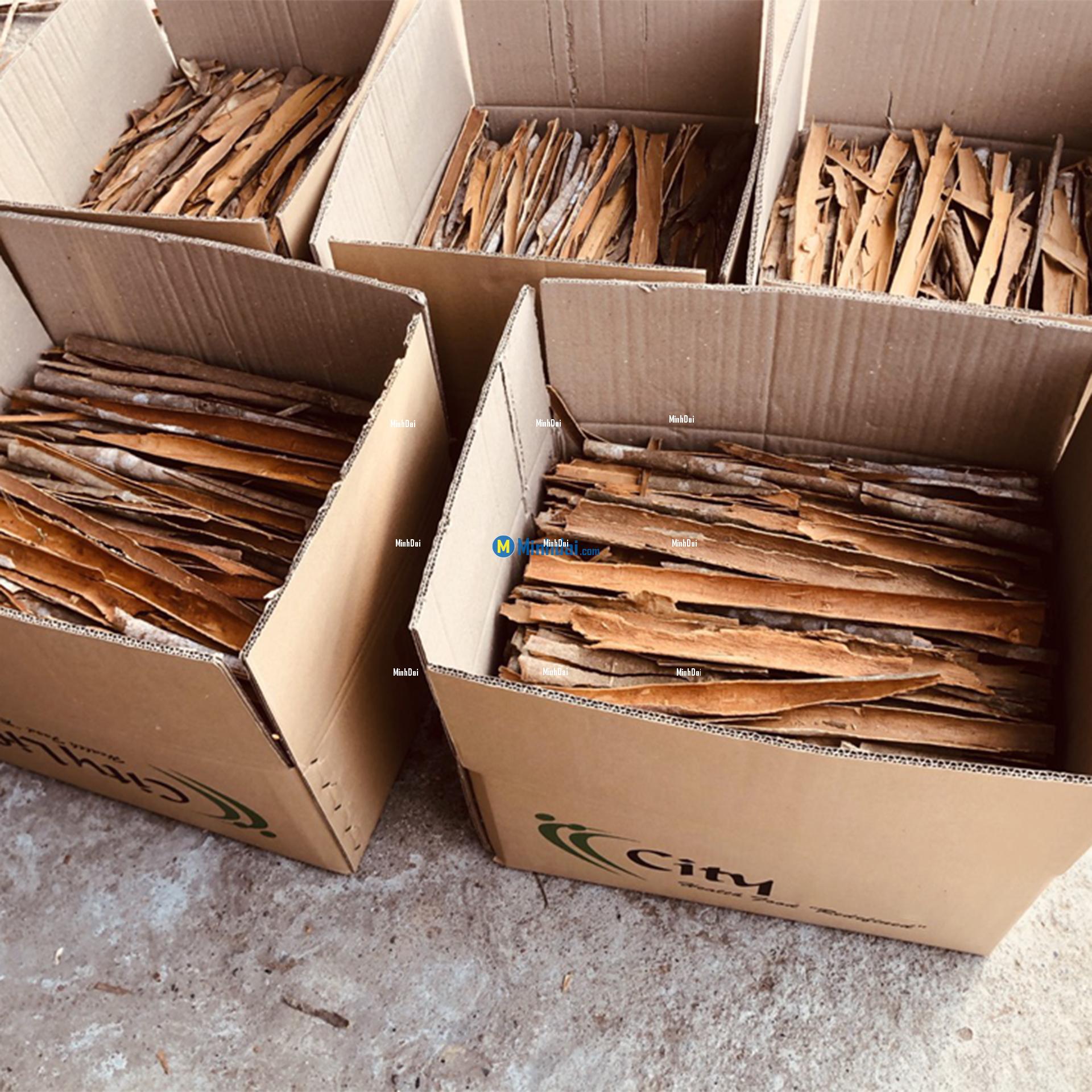 Cinnamon sticks wholesale