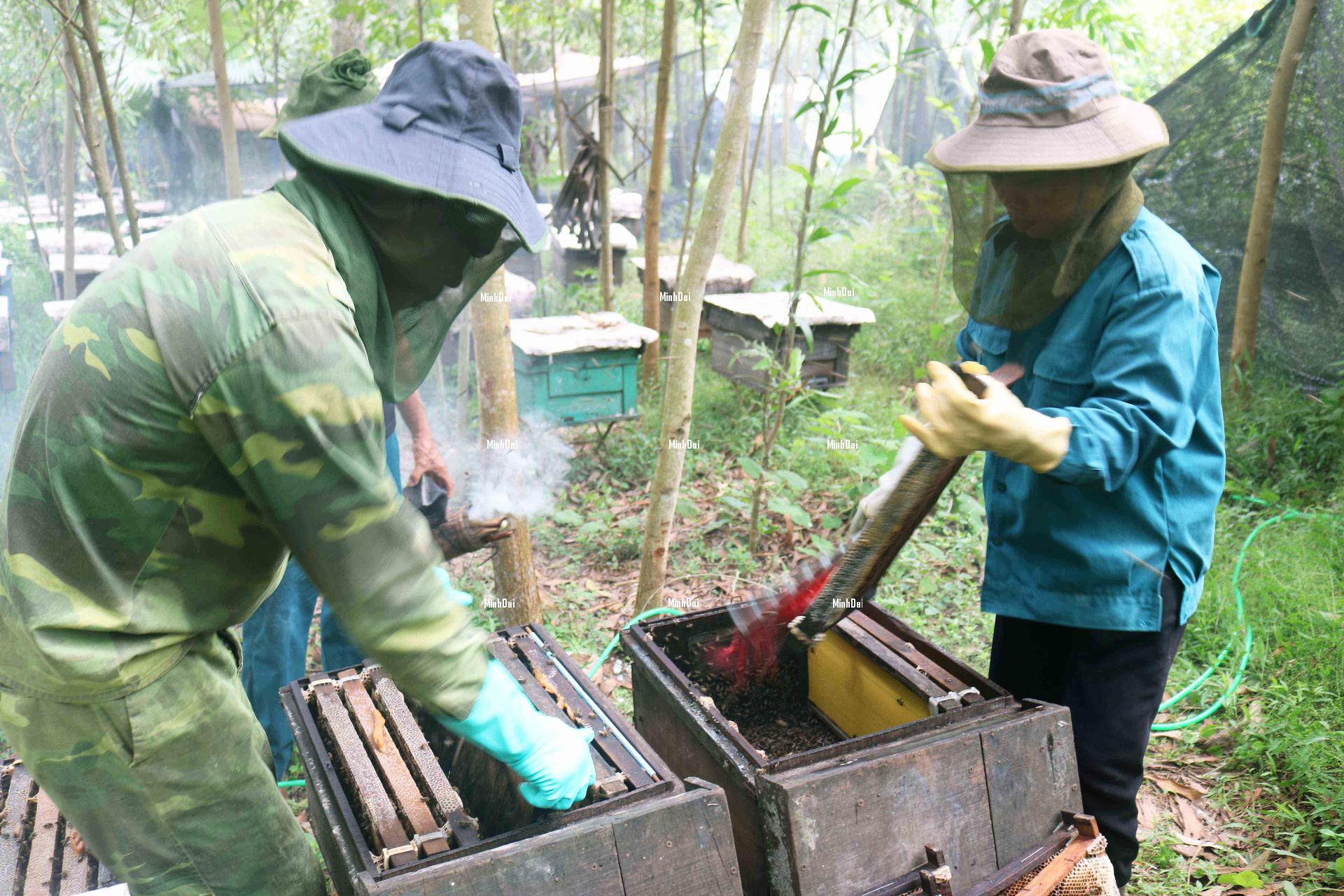 Farmers reduced to destituteness as honey prices being even lower than water Farmers reduced to destituteness as honey prices being even lower than water
