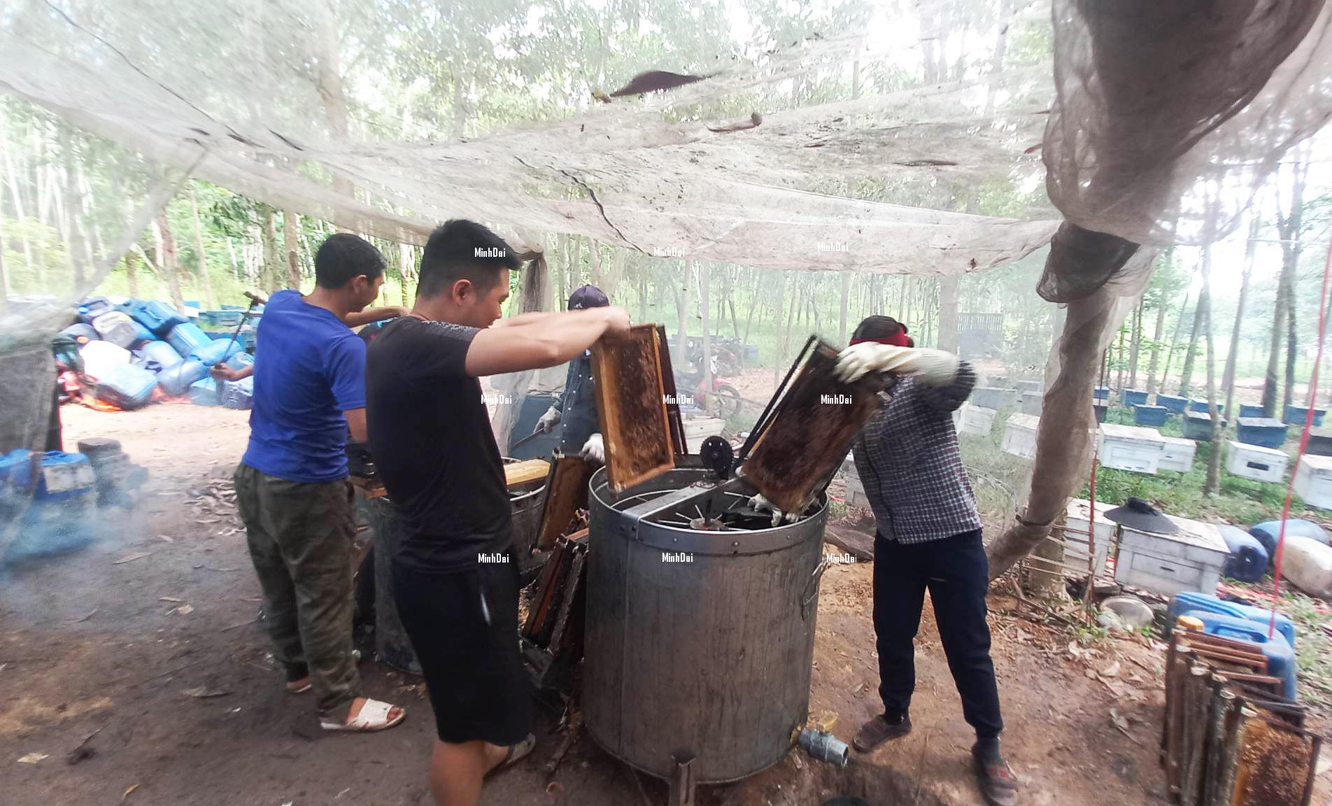 Farmers reduced to destituteness as honey prices being even lower than water Farmers reduced to destituteness as honey prices being even lower than water