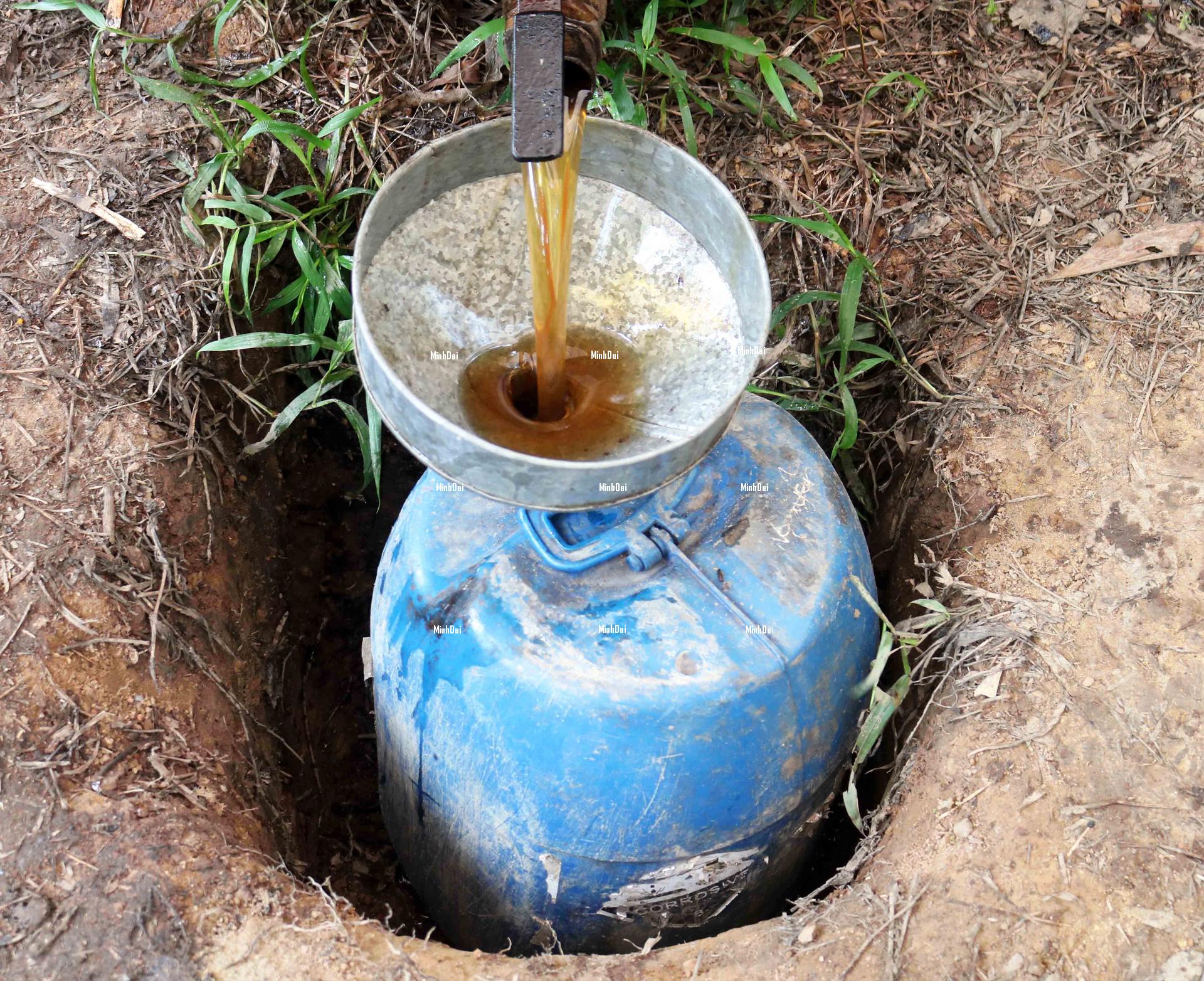 Farmers reduced to destituteness as honey prices being even lower than water Farmers reduced to destituteness as honey prices being even lower than water