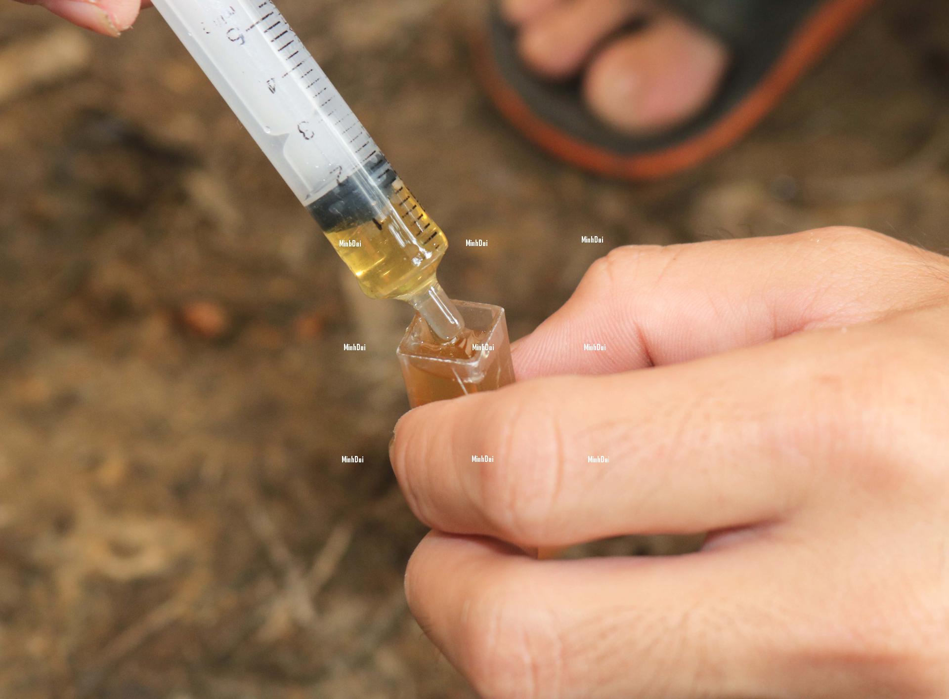 Farmers reduced to destituteness as honey prices being even lower than water Farmers reduced to destituteness as honey prices being even lower than water