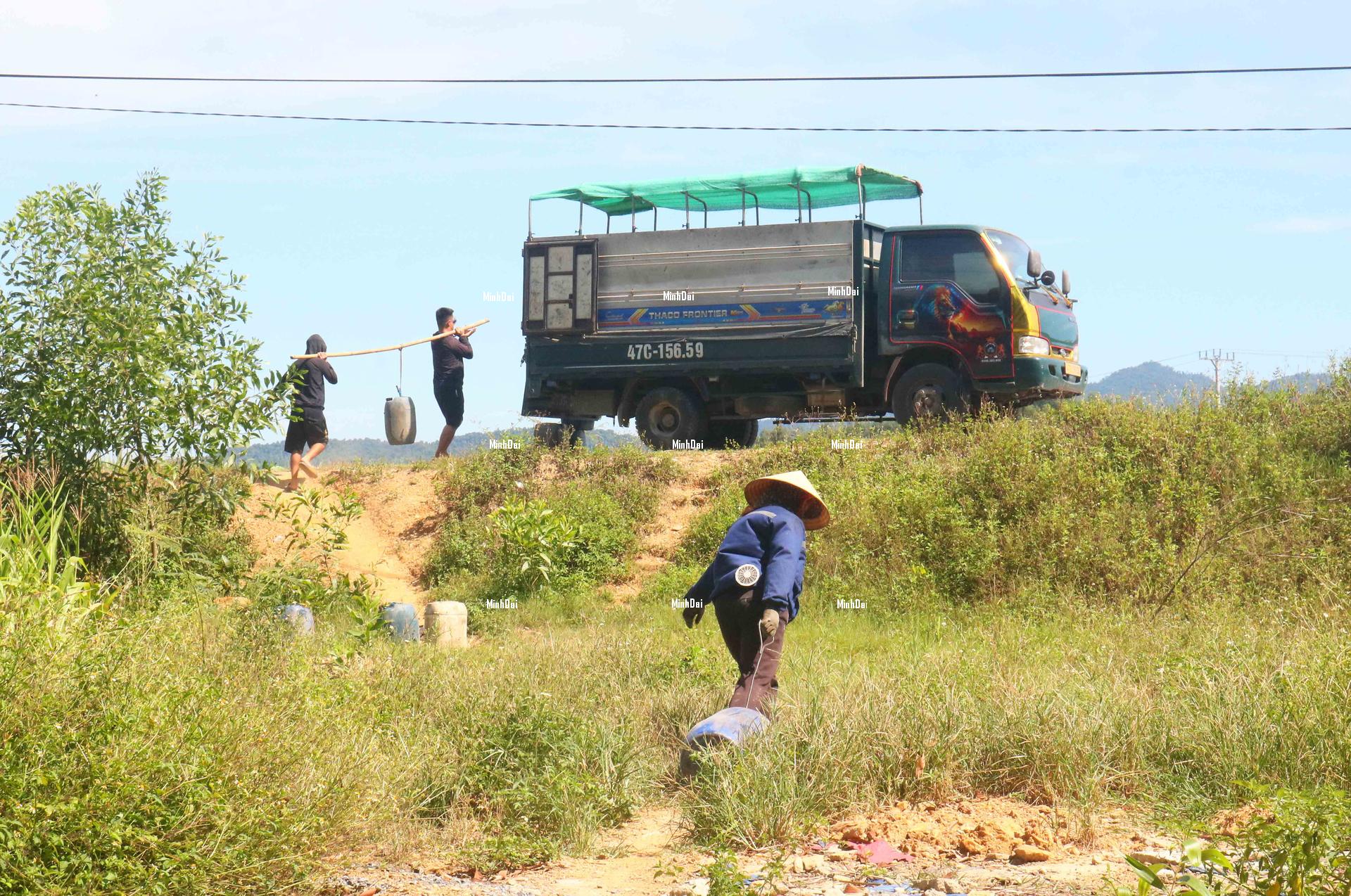 Farmers reduced to destituteness as honey prices being even lower than water Farmers reduced to destituteness as honey prices being even lower than water