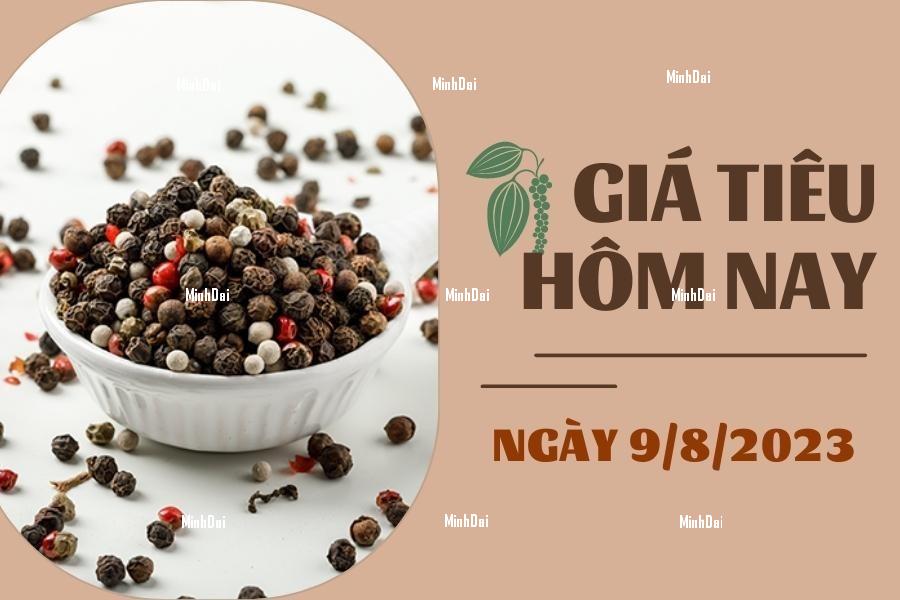 Dự báo giá heo hơi ngày 9/8: Tiếp tục khởi sắc?