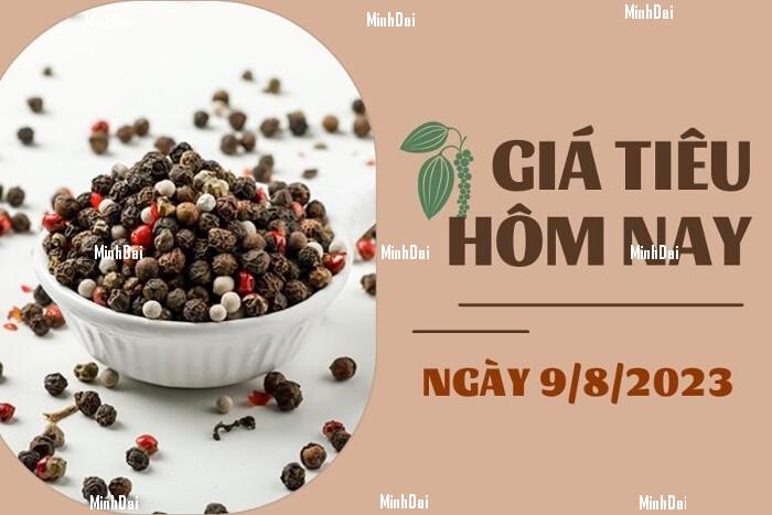 Giá tiêu hôm nay 9/8: Quay đầu giảm nhẹ 500 đồng/kg, cao su biến động hơn 1% Giá tiêu hôm nay 9/8: Quay đầu giảm nhẹ 500 đồng/kg, cao su biến động hơn 1%