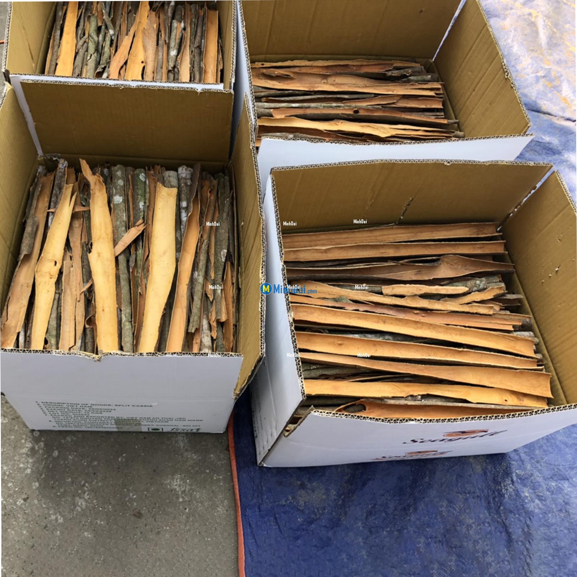 Cinnamon sticks wholesale