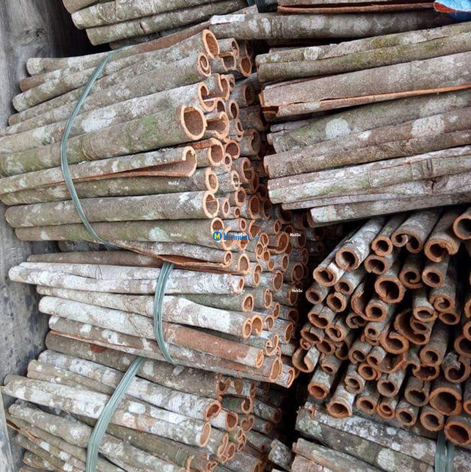 Cinnamon pipes wholesale