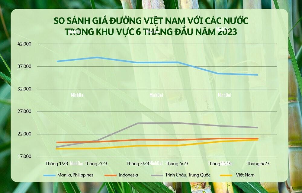 Giá đường tạo đỉnh 12 năm: Người báo lãi tăng bằng lần, kẻ đi lùi Giá đường tạo đỉnh 12 năm: Người báo lãi tăng bằng lần, kẻ đi lùi