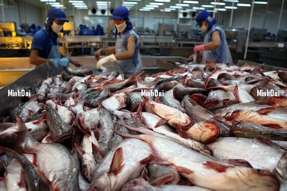 Giá lúa gạo hôm nay 10/8: Các mặt hàng chững lại