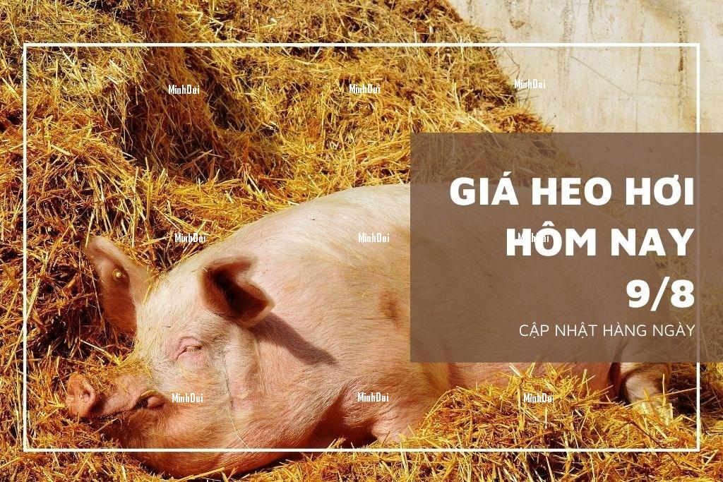 Giá tiêu hôm nay 9/8: Quay đầu giảm nhẹ 500 đồng/kg, cao su biến động hơn 1%