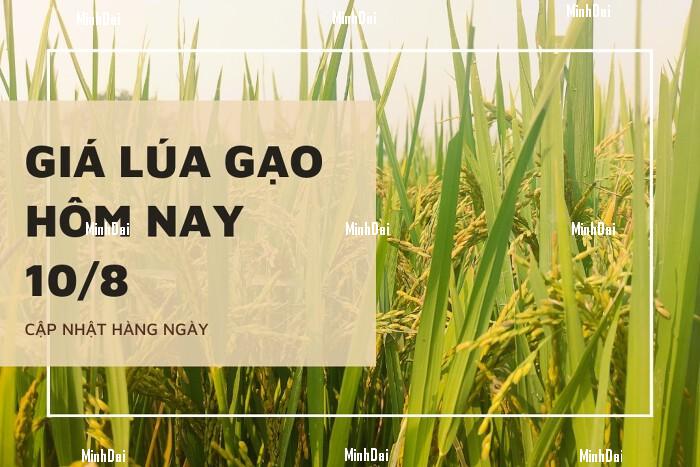 Giá lúa gạo hôm nay 10/8: Các mặt hàng chững lại Giá lúa gạo hôm nay 10/8: Các mặt hàng chững lại