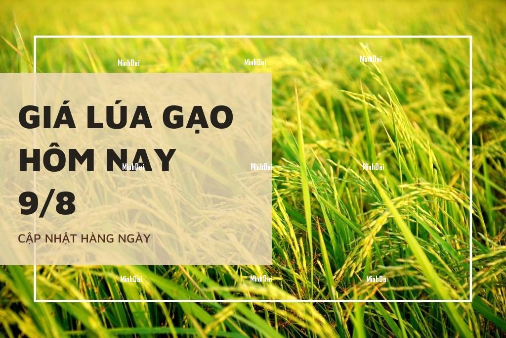 Nông dân 'treo ao', Bộ NN&PTNT lo thiếu nguyên liệu cho xuất khẩu thủy sản nửa cuối năm