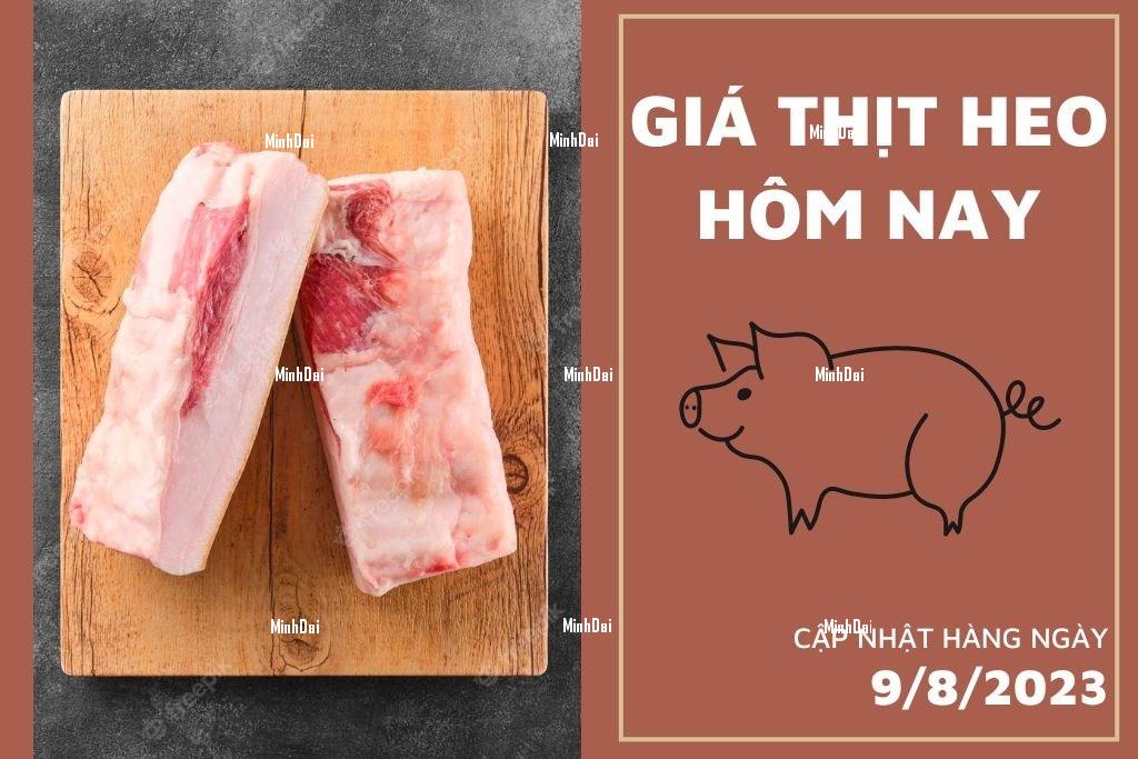 Giá heo hơi hôm nay 9/8: Biến động trái chiều, mức tăng cao nhất 2.000 đồng/kg