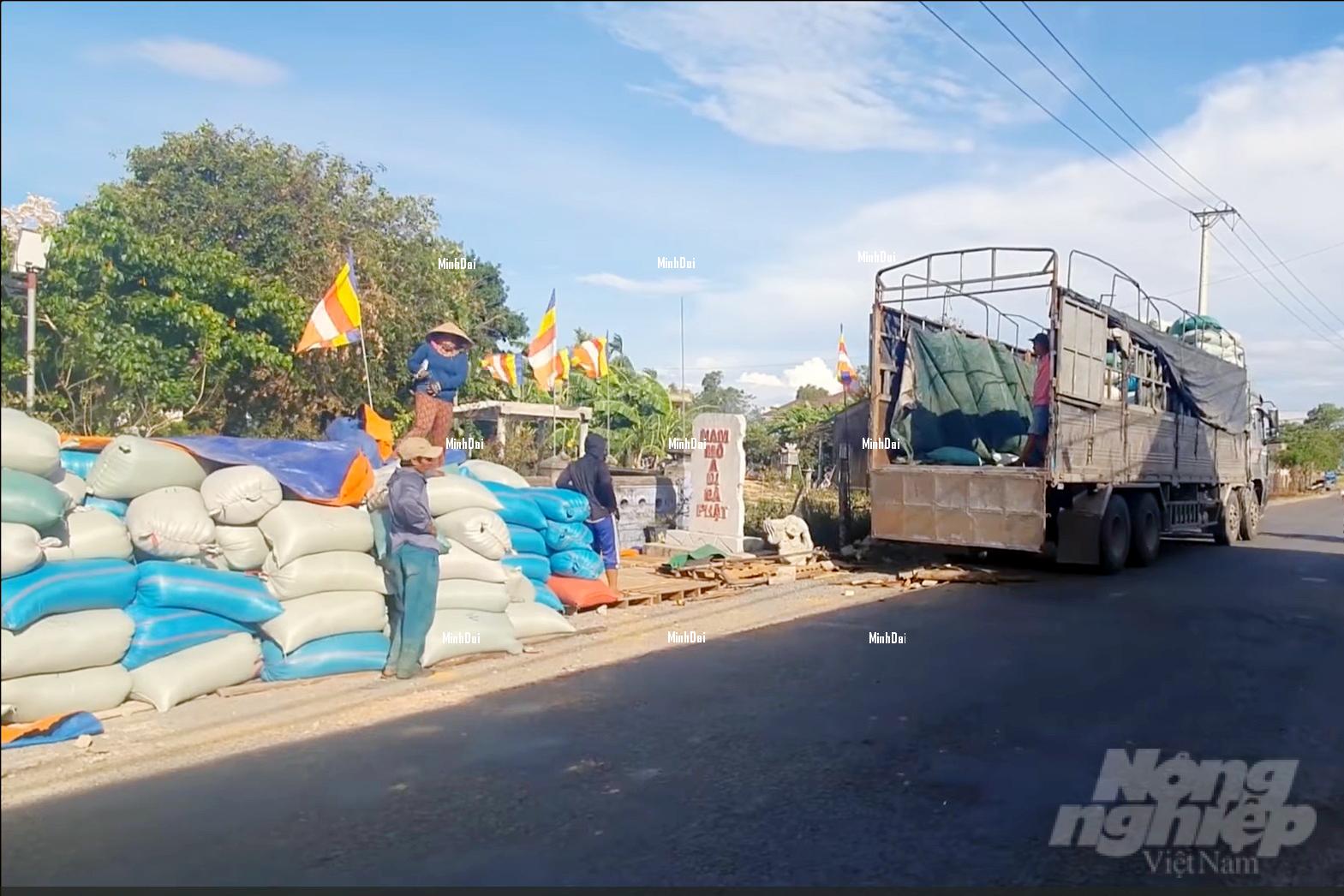 Summer-autumn rice: Costs down 20%, price up 20%, farmers filled with excitement Summer-autumn rice: Costs down 20%, price up 20%, farmers filled with excitement