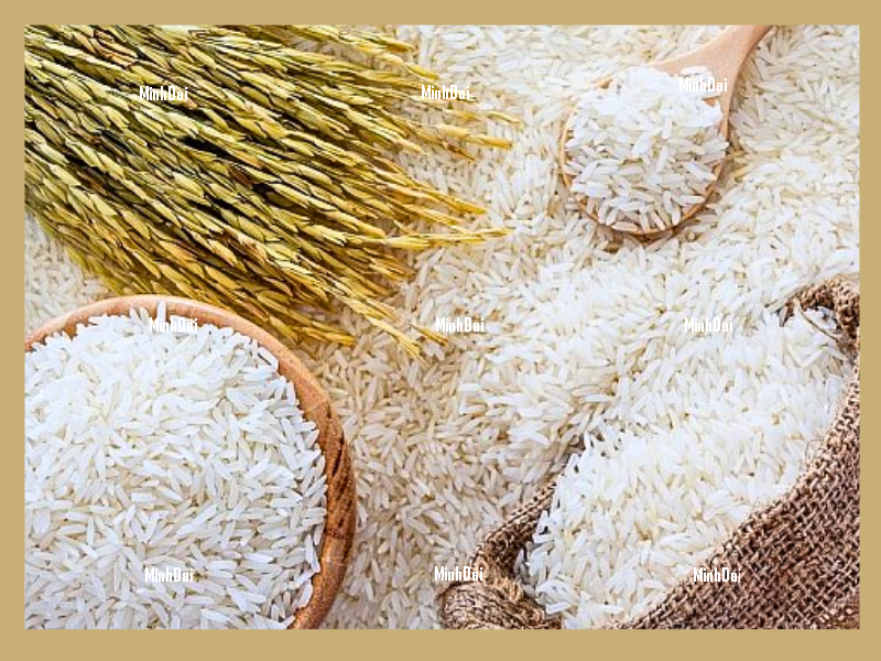 Doanh nghiệp Italia tìm đối tác gia công đồ lót và áo nịt ngực