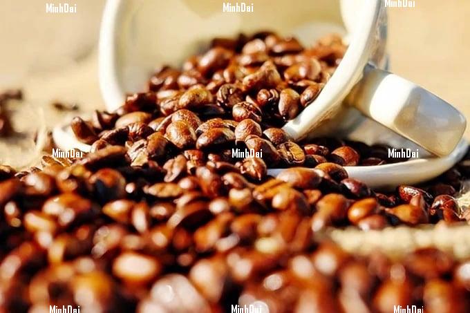 Coffee prices on October 25, 2023: increases and decreases Coffee prices on October 25, 2023: increases and decreases