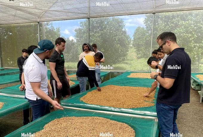 Vietnam's coffee sector concludes the crop season with new records Vietnam's coffee sector concludes the crop season with new records