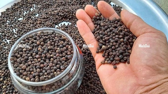 Pepper prices on 11/17/2023: Harsh climate threatens output