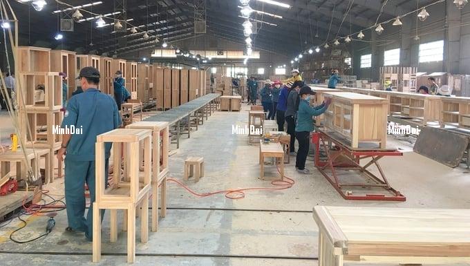 Wood industry rebounds: Prices surge for cultivated timber Wood industry rebounds: Prices surge for cultivated timber