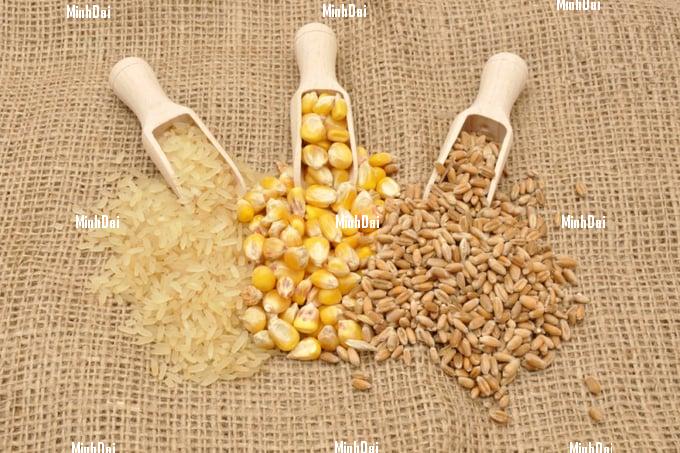 FAO: Global cereal prices decline in November