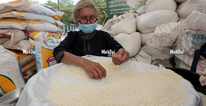 Thailand’s rice exports rebound on strong supply, prices