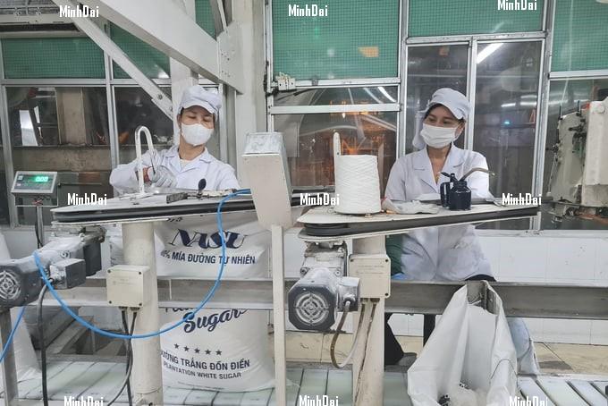 Recover position for sugarcane: For Phu Quy farmers, sugarcane is No.1