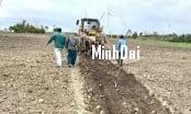 Recover position for sugarcane: '4 transformations' in sugarcane production Recover position for sugarcane: '4 transformations' in sugarcane production