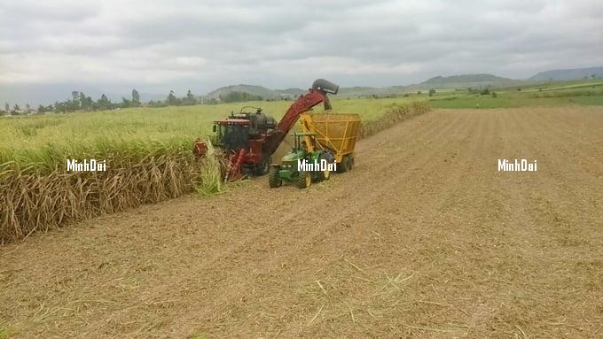Recover position for sugarcane: '4 transformations' in sugarcane production Recover position for sugarcane: '4 transformations' in sugarcane production