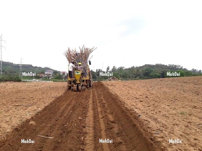 Recover position for sugarcane: '4 transformations' in sugarcane production Recover position for sugarcane: '4 transformations' in sugarcane production
