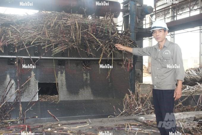Recover position for sugarcane: Living well thanks to sugarcane production without discarding anything Recover position for sugarcane: Living well thanks to sugarcane production without discarding anything