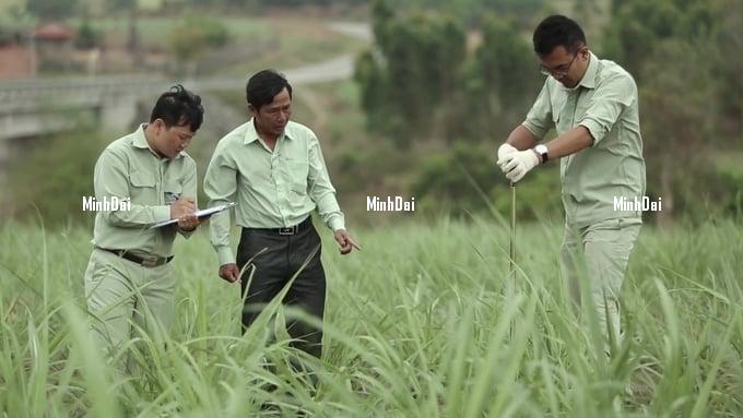 Recover position for sugarcane: '4 transformations' in sugarcane production Recover position for sugarcane: '4 transformations' in sugarcane production