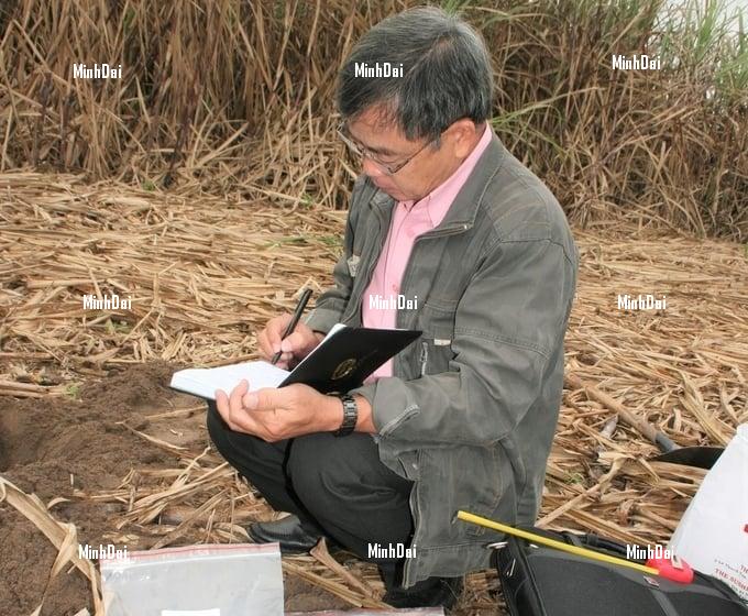 Recover position for sugarcane: '4 transformations' in sugarcane production Recover position for sugarcane: '4 transformations' in sugarcane production