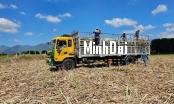 Recover position for sugarcane: Living well thanks to sugarcane production without discarding anything Recover position for sugarcane: Living well thanks to sugarcane production without discarding anything
