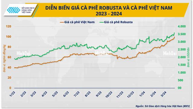 Robusta coffee prices may cool down in the second quarter