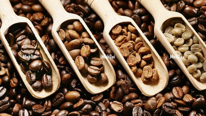 Coffee price on 03/08/2024: Sharp increase to nearly VND 92,000/kg